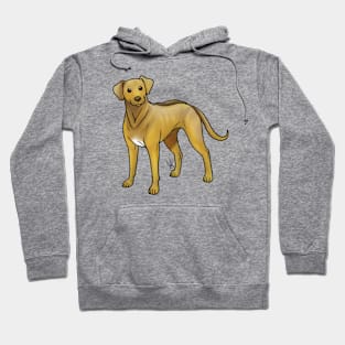 Dog - Rhodesian Ridgeback - Light Red Hoodie